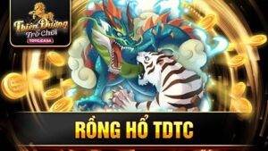 Rồng hổ TDTC: Hướng dẫn cách chơi một cách chính xác nhất 5 Rồng hổ TDTC